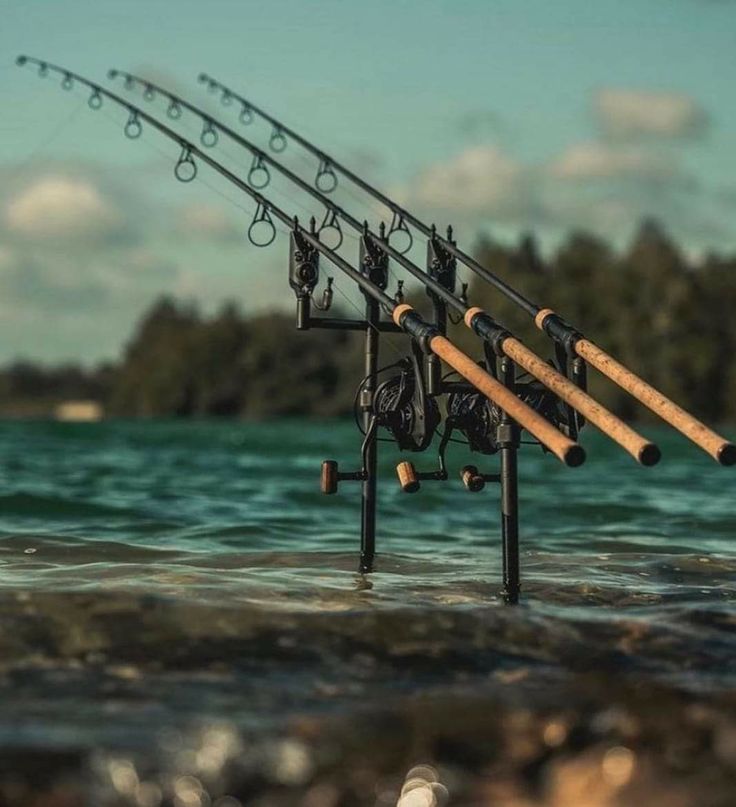 Hengelsport in Hoofddorp