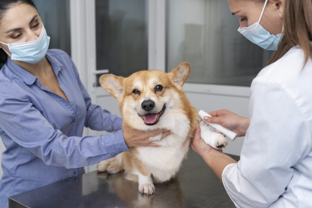 Dierenkliniek in Hoofddorp
